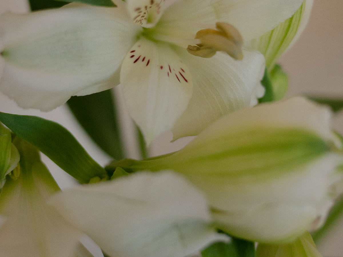 What Are Free Radicals & How Do They Affect Your Skin?