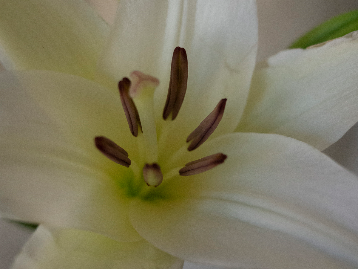 Top #20 best foods for your skin