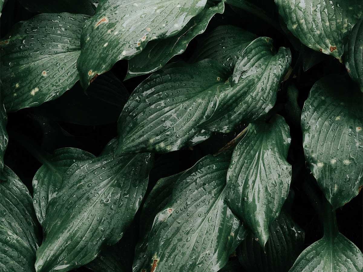 5 simple steps to a more sustainable skincare routine