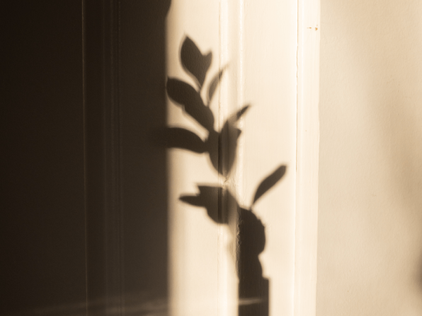 Dull Skin Causes and Treatments