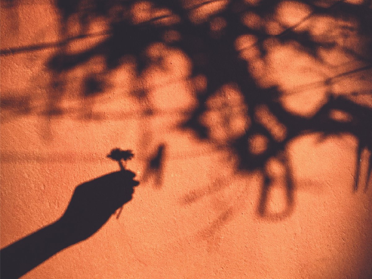 A hand holding a flower on a dark orange background