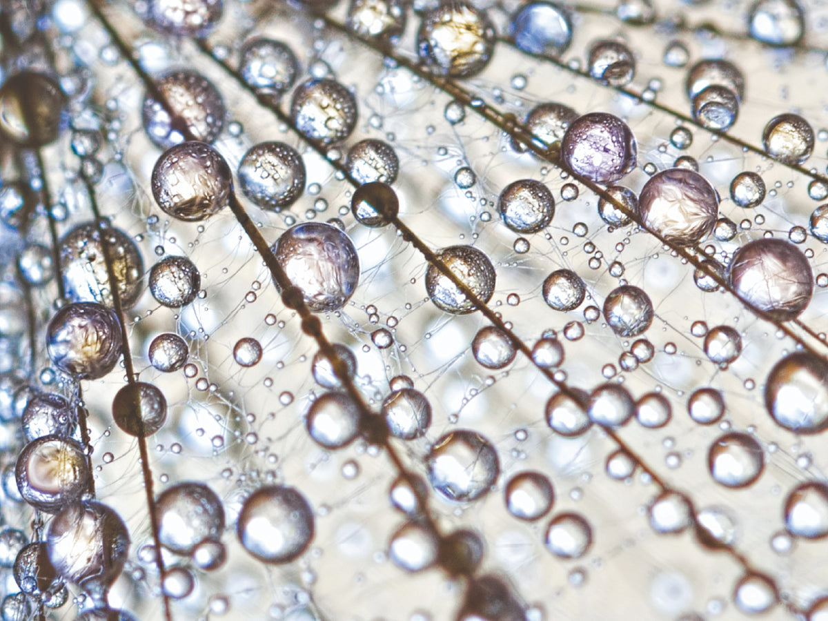 colorful drops of water on a clear background