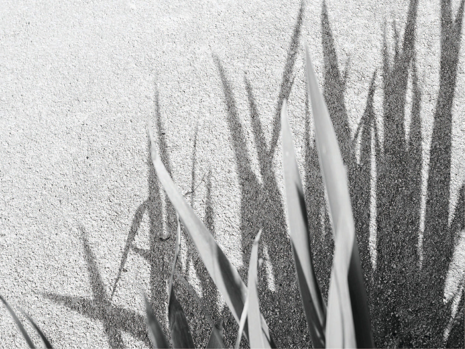 How to Know if My Skin is Purging