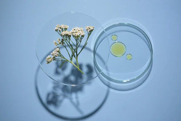 How to Get Rid of Tech Neck Lines Naturally