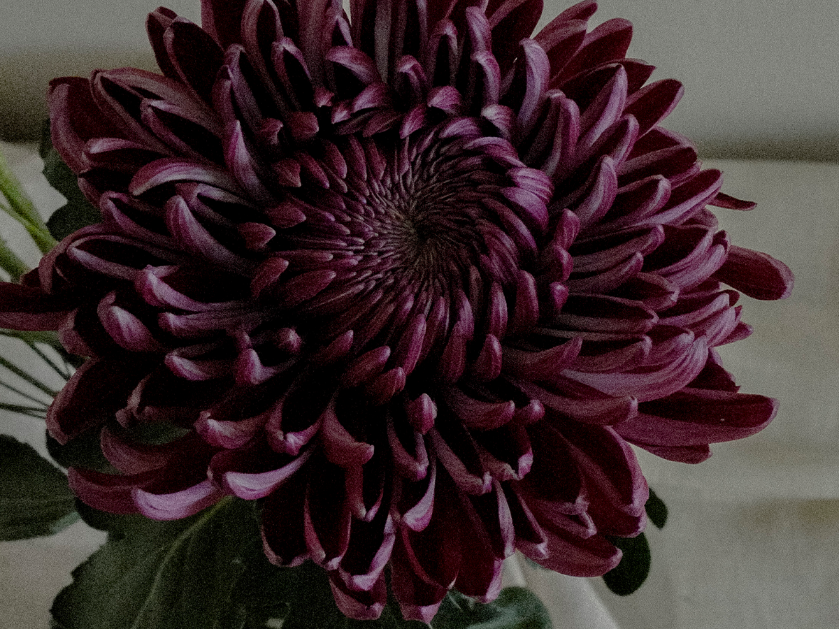 8 Reasons the Skin on Your Face is Peeling and How to Fix it