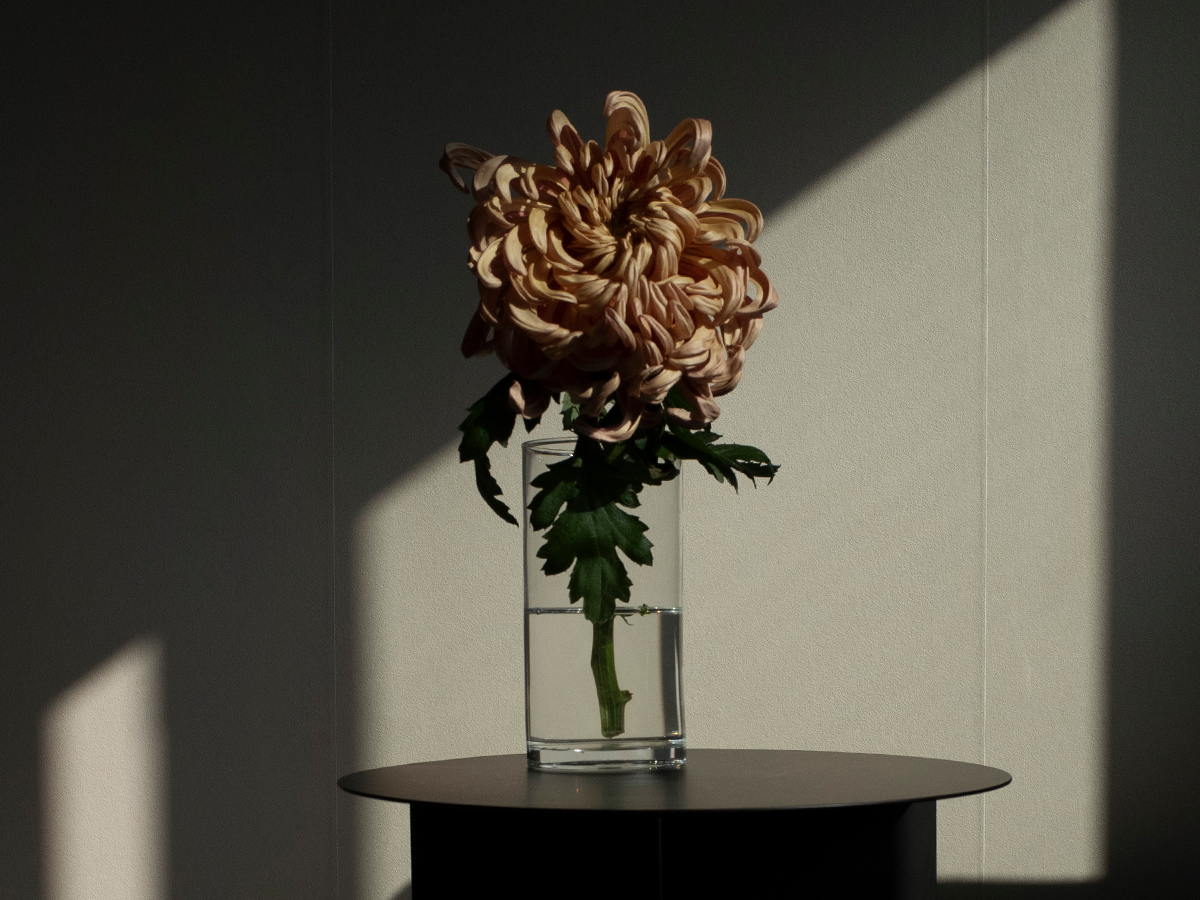 the sound of skincare