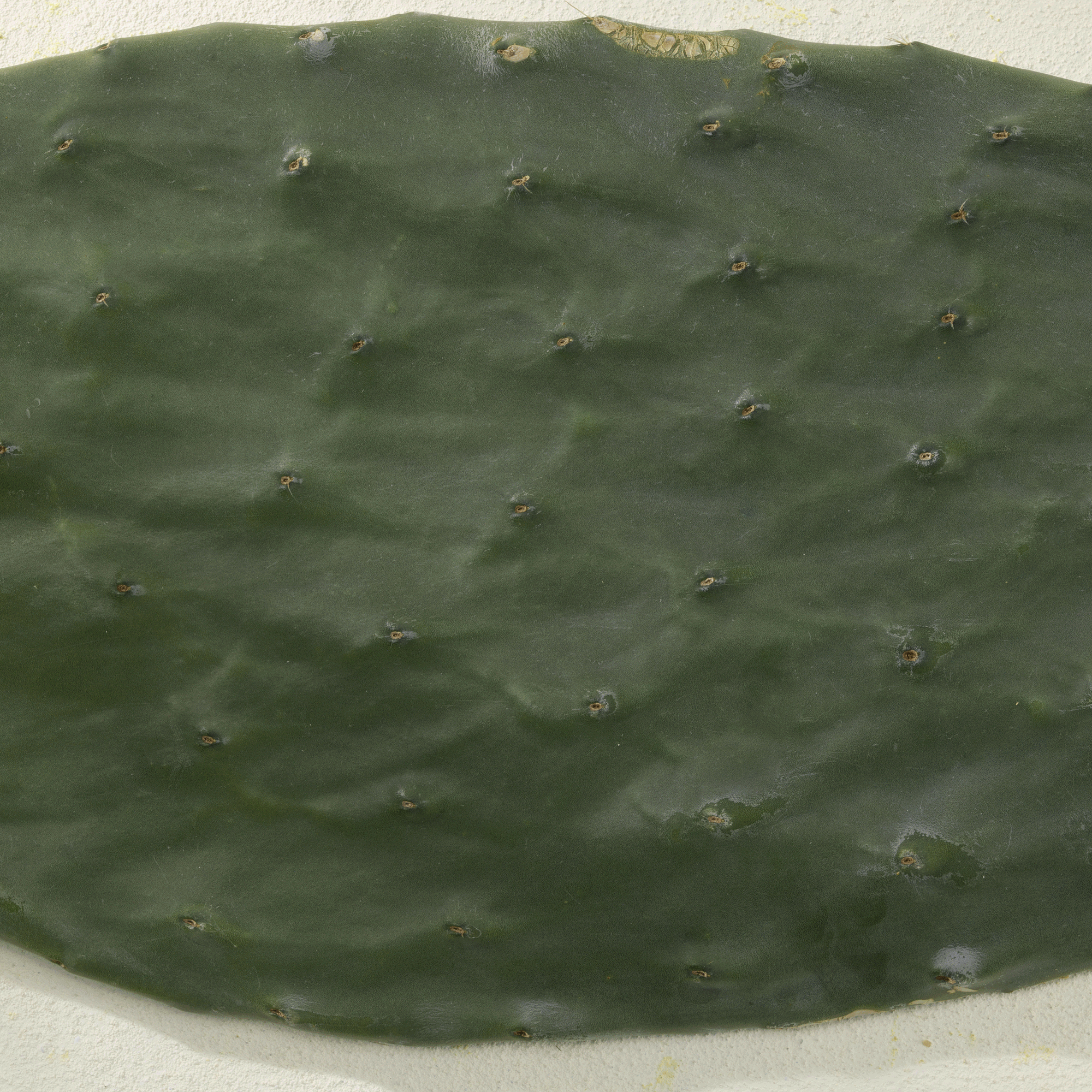 Comfort Zone: Kit Water Source Serum+Refill Set  HYDRATING BOOSTING SERUM SET -100x.gif?v=1761121980
