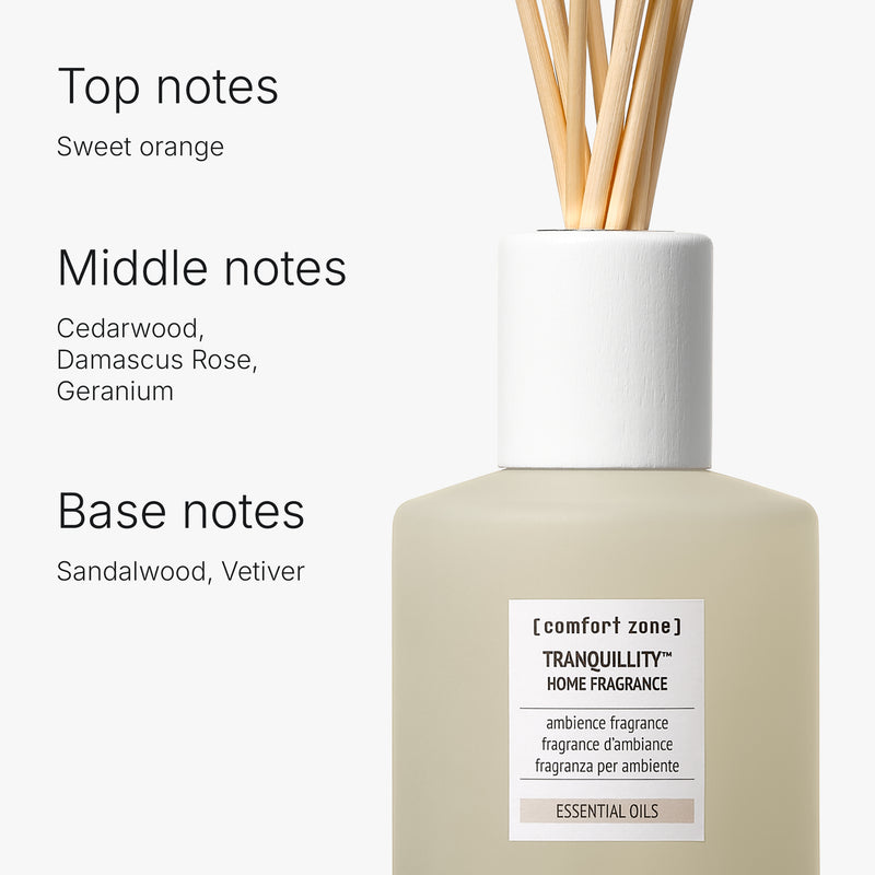 Comfort Zone: Kit Home Fragrance &amp; Reeds  Ambience aromatic fragrance -BDSCIT00007
